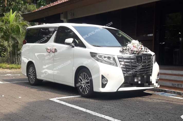 sewa alphard putih